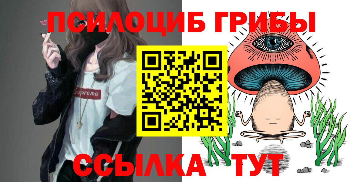 Галлюциногенные грибы прущие грибы Саратов