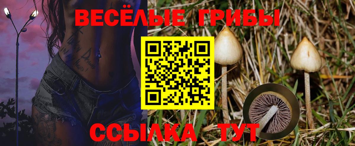 Саратов  Псилоцибиновые грибы мицелий  Вход с VPN 